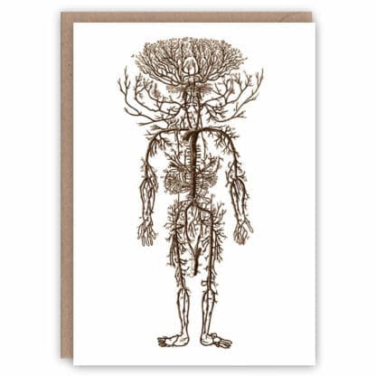'Arterial Man' – vintage science greetings card by The Pattern Book