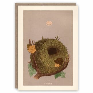 Greeting card illustrating a wren's nest and egg