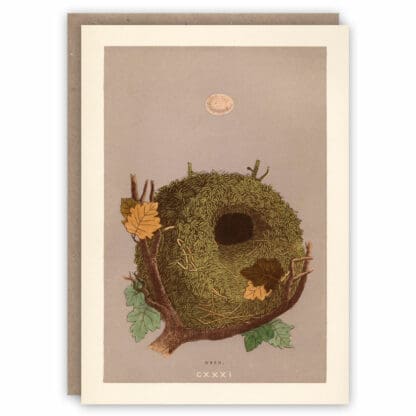 Greeting card illustrating a wren's nest and egg