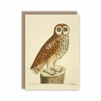 Owl notecard