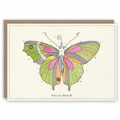 Greeting card showing the parts of a butterfly