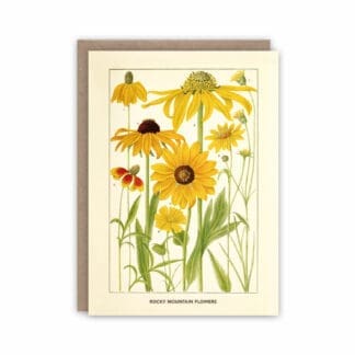 Notecard depicting Rocky Mountain wildflowers